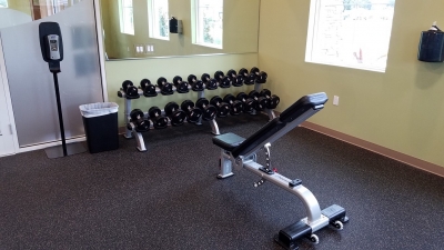 free weights and bench