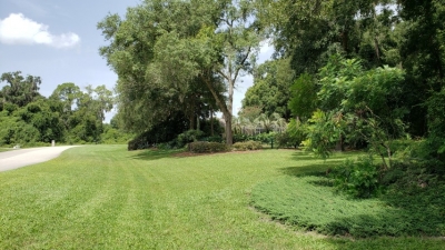 long side lawn with trees in back