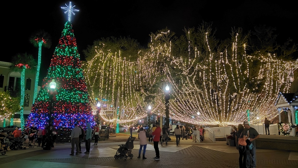 trees draped in white lights, conical red and green tree lights