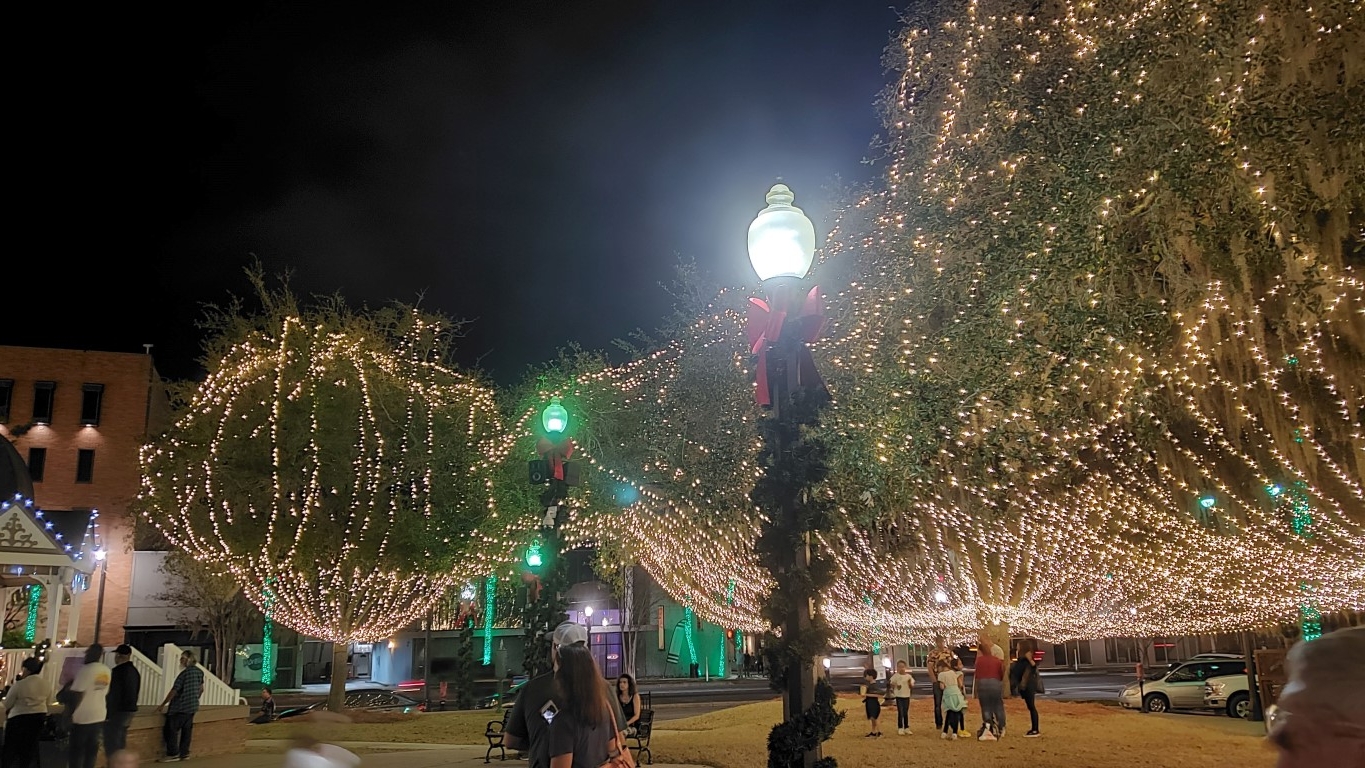 trees draped in lights on Ocala town common